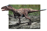 Deinonychus