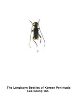 달구벌하늘소 - Rondibilis multinotatus