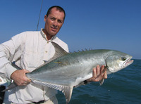 Lichia amia, Leerfish: fisheries, gamefish