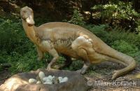 Maiasaura peeblesorum