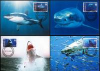 Saint Vincent and the Grenadines Great White Shark Set of 4 official Maxicards