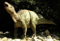 Iguanodon bernissartensis