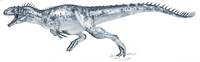 Allosaurus