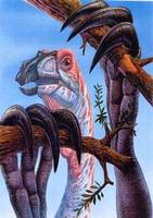 Deinocheirus