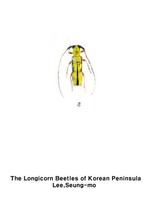 황하늘소 - Menesia flavotecta