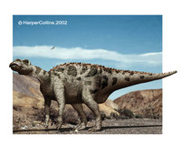 Gryposaurus
