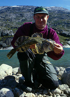 Myoxocephalus scorpioides, Arctic sculpin: