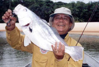 Plagioscion squamosissimus, South American silver croaker: fisheries, aquaculture, aquarium