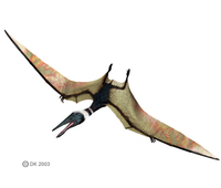 Pterodactylus