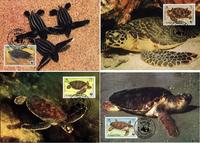 Anguilla Sea Turtles Set of 4 official Maxicards