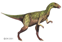 Dryosaurus