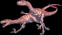 Deinonychus