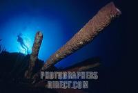 Caribbean underwater world with red sponges and diver , Cuba stock photo