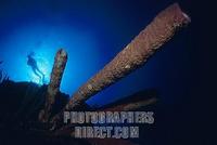 Caribbean underwater world with red sponges and diver , Cuba stock photo