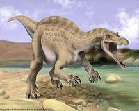 Suchomimus