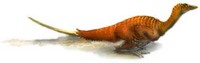 Troodon