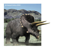 Triceratops