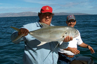 Caranx caninus, Pacific crevalle jack: fisheries, gamefish