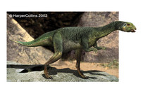 Dryosaurus