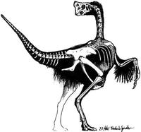 Oviraptoridae