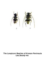 무늬곤봉하늘소 - Rhopaloscelis unifasciatus