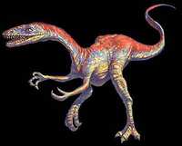 Coelophysis