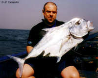 Alectis alexandrinus, African threadfish: fisheries, gamefish