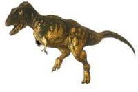 Daspletosaurus