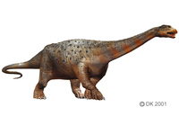Saltasaurus