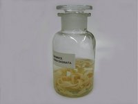 Taenia saginata