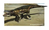 Postosuchus