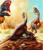 Oviraptor