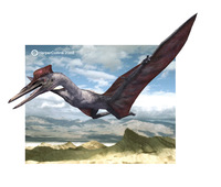 Quetzalcoatlus