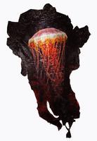 Black Sea Nettle Jellyfish acrylic on plastic bags 2007