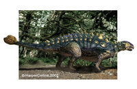 Euoplocephalus