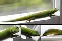 Image of: Phelsuma laticauda (gold dust day gecko)