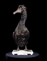 Pallas's Cormorant - Phalacrocorax perspicillatus