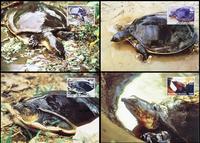 Togo Senegal Flapshell Turtle Set of 4 official Maxicards