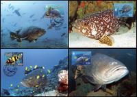 Vanuatu Giant Grouper Set of 4 official Maxicards