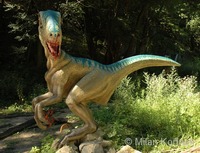 Deinonychus antirrhopus