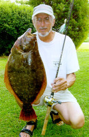 Paralichthys dentatus, Summer flounder: fisheries, gamefish