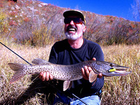 Esox reichertii, Amur pike: fisheries, gamefish