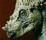 Pachycephalosaurus.jpg