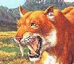 Saber-toothedTiger.jpg