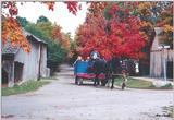 Black Creek 0327