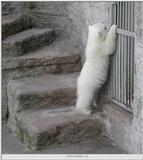 let me out of here !
