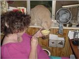 (My Cats] - 0399-mvc.JPG (1/1)