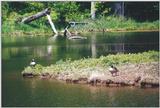 Kortright Center 0522