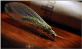florfly