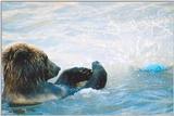 Bears just wanna have fun!! (Bares also.)